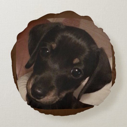 ダックスフントによってブラシをかけられる多円形の装飾用クッション(16") ラウンドクッション (裏面)