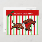 ダックスフントのクリスマスの漫画 シーズンポストカード (正面/裏面)