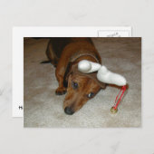 ダックスフントのクリスマスの郵便はがき シーズンポストカード (正面/裏面)