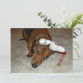 ダックスフントのクリスマスカード-好まないトナカイ シーズンカード (スタンド正面)