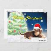 ダックスフントのクリスマスツリーの郵便はがき シーズンポストカード (正面/裏面)