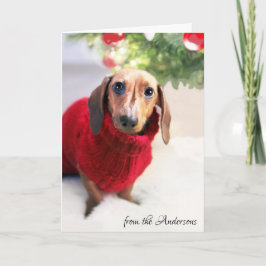 ダックスフントのクリスマスツリー犬のセーターはカスタマイズ シーズンカード