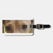 ダックスフントのクリームアイ ラゲッジタグ (正面横)