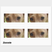 ダックスフントのクリームアイ 長方形シール (シート)