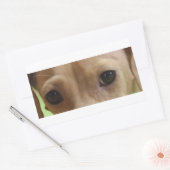 ダックスフントのクリームアイ 長方形シール (封筒)