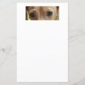 ダックスフントのクリーム目スクラップブック紙 (正面)