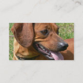 ダックスフントの名刺の写真 名刺 (裏面)