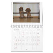 ダックスフントの子犬のカレンダー2011年 カレンダー (2月 2027)