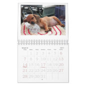 ダックスフントの子犬のカレンダー2011年 カレンダー (3月 2027)