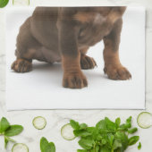 ダックスフントの子犬の台所タオル キッチンタオル (折り畳み)