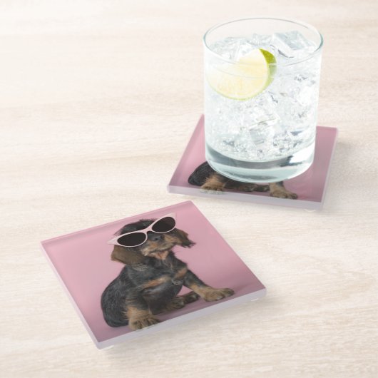 ダックスフントの子犬の身に着けているサングラス ガラスコースター (アングル)