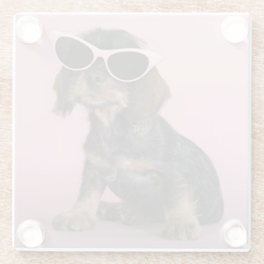 ダックスフントの子犬の身に着けているサングラス ガラスコースター (裏面)