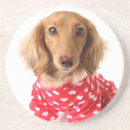 ダックスフントの子犬の身に着けているバレンタインの用品類 コースター (正面)