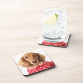 ダックスフントの子犬の身に着けているバレンタインの用品類 コースター (右側)