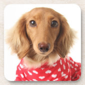 ダックスフントの子犬の身に着けているバレンタインの用品類 コースター (正面)