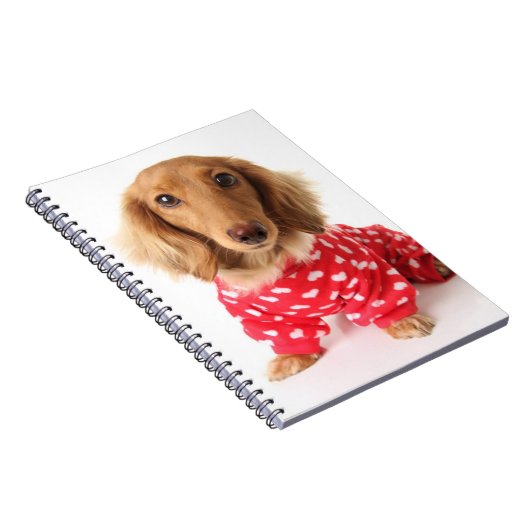 ダックスフントの子犬の身に着けているバレンタインの用品類 ノートブック (右側)