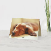 ダックスフントの睡眠 カード (裏面)