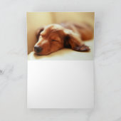 ダックスフントの睡眠 カード (内部)