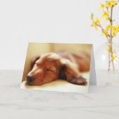 ダックスフントの睡眠 カード (黄色い花)