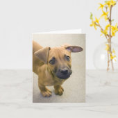 ダックスフントの組合せのメッセージカード2 カード (黄色い花)