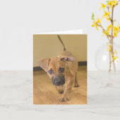 ダックスフントの組合せのメッセージカード2 カード (黄色い花)