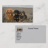 ダックスフントの繁殖動物の名刺 名刺 (正面/裏面)