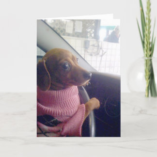 ダックスフントカード カード