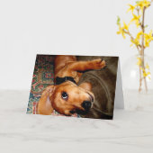 ダックスフントペット子犬 カード (黄色い花)