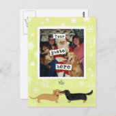 ダックスフントミストルトウィーナードッグズ写真テンプレート ポストカード (正面/裏面)