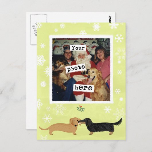 ダックスフントミストルトウィーナードッグズ写真テンプレート ポストカード (正面/裏面)