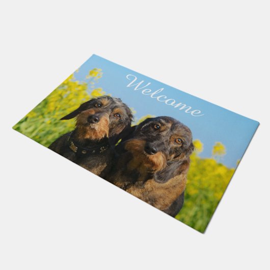 ダックスフント犬のDackelの2人のかわいい友人/歓迎 ドアマット (アングル)