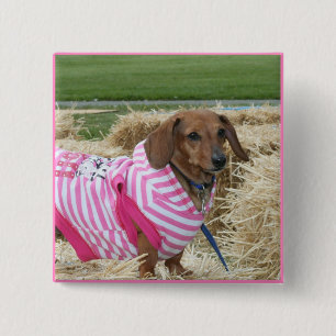 ダックスフント犬 缶バッジ