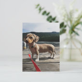 ダックスフント誕生日でダックスフントの生活が良い ポストカード (スタンド正面)
