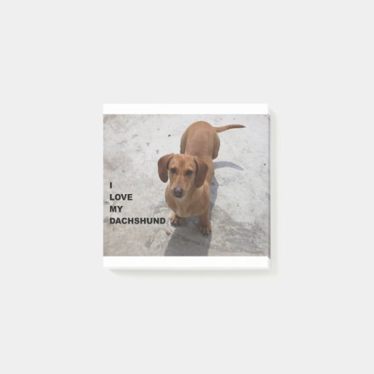 ダックスフント赤く完全な愛w pic ポストイット (正面)