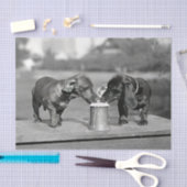 ダックスフント飲みビール 薄葉紙 (クラフト)