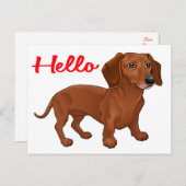 『ダックスフント・パピー・ドッグ・考えるレッド・ハロー・オブ・ユー』 ポストカード (正面/裏面)