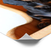 ダックスフント ポスター (角)