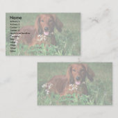 ダックスフント 名刺 (正面/裏面)