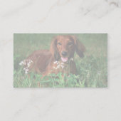 ダックスフント 名刺 (裏面)