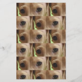 ダックスフンドのクリーム色の目 スクラップブック用紙 (裏面)