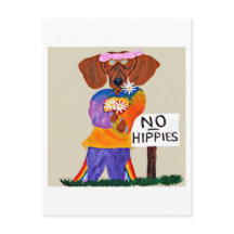 ダックスフンドのヒッピー、NO HIPPIESのサインの前で