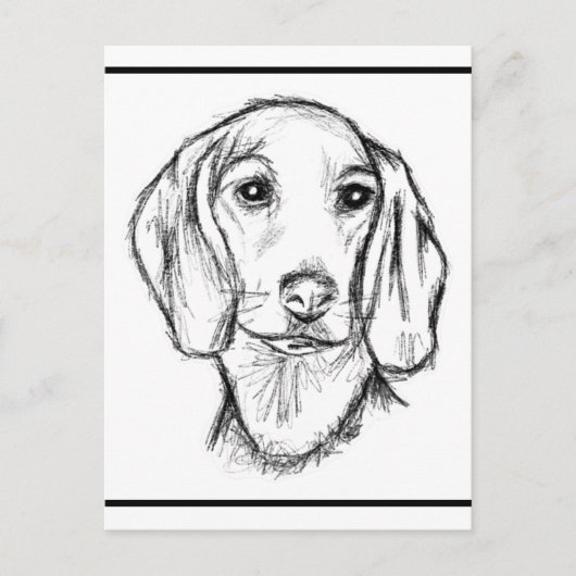 ダックスフンドの手描きスケッチ 黒白の仔犬 ポストカード (正面)
