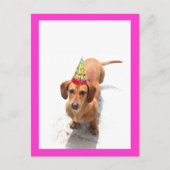 ダックスフンドの誕生日ポストカード ポストカード (正面)
