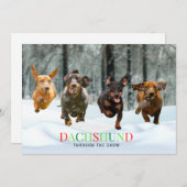 ダックスフンドの雪の中4走る犬おかしい シーズンカード (正面/裏面)
