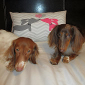 ダックスフンド ウィーンダックス ラブ＆ハーツ ピンク＆グレー ランバークッション