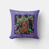 ダックスフンド クッション (正面)