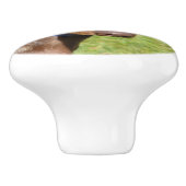 ダックスフンド セラミックノブ (側面)