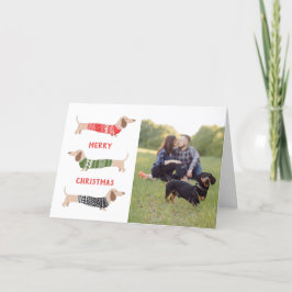 ダックスフンド ペット 犬  楽しい写真 クリスマスカード