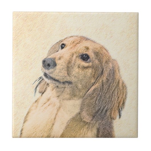 ダックスフンド（ロングヘア）絵画 - オリジナル犬アート タイル (正面)