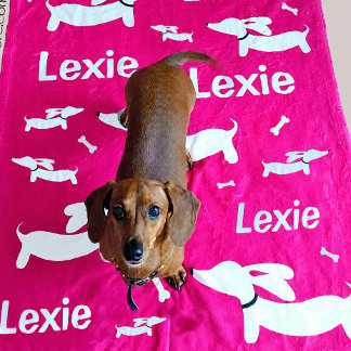 ダックスフンド 掛け布団 ピンク 名入れ Doxie ギフト フリースブランケット